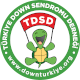 Türkiye Down Sendromu Derneği logosu